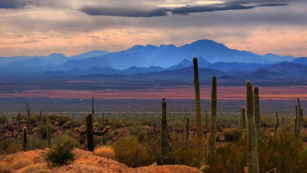 Estado de Sonora - El pinacate